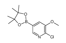 Pinacol 2-chloro-3-methoxypyridine-5-borate Structure