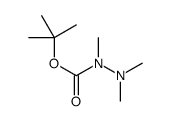 TERT-BUTYL 1,2,2-TRIMETHYLHYDRAZINE-1-CARBOXYLATE Structure