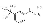 (3-(叔丁基)苯基)肼盐酸盐结构式