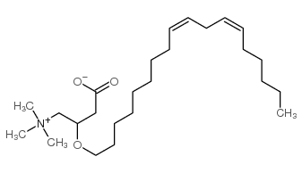Linoleyl carnitine结构式