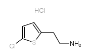 2-(5-氯噻吩-2-基)乙胺盐酸盐结构式