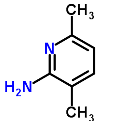 3,6-DIMETHYL-2-PYRIDINAMINE structure