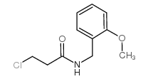 3-chloro-N-[(2-methoxyphenyl)methyl]propanamide结构式