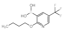 2-丁氧基-5-(三氟甲基)吡啶-3-硼酸结构式