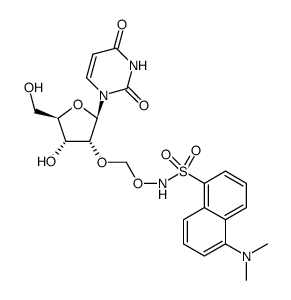 2'-O-[5-(dimethylamino)naphthalene-1-sulfonamidyl-N-oxymethyl]uridine Structure