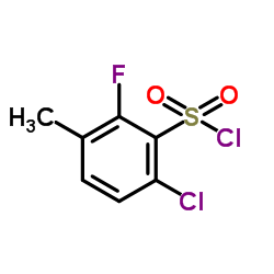6-Chloro-2-fluoro-3-methylbenzenesulfonyl chloride Structure