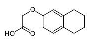 2-(5,6,7,8-tetrahydronaphthalen-2-yloxy)acetic acid结构式
