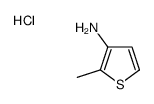 2-Methylthiophen-3-aminehydrochloride Structure