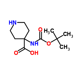 N-boc-amino-piperidinyl-1,1-carboxylic acid Structure