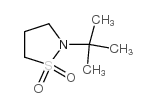 N-叔丁基1,1-二氧代异噻唑烷图片