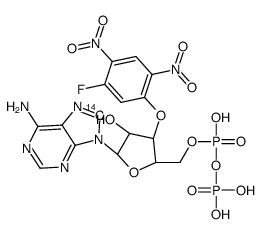 3'-O-(5-fluoro-2,4-dinitrophenyl)ADP ether Structure