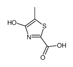 2-Thiazolecarboxylic acid,4-hydroxy-5-methyl- Structure