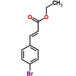(E)-Ethyl 3-(4-bromophenyl)acrylate Structure