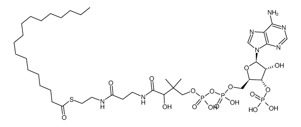 S-[2-[3-[[(2R)-4-[[[(2R,3S,4R,5R)-5-(6-aminopurin-9-yl)-4-hydroxy-3-phosphonooxyoxolan-2-yl]methoxy-hydroxyphosphoryl]oxy-hydroxyphosphoryl]oxy-2-hydroxy-3,3-dimethylbutanoyl]amino]propanoylamino]ethyl] octadecanethioate结构式