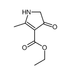 ethyl 5-methyl-3-oxo-1,2-dihydropyrrole-4-carboxylate结构式
