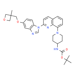 tert-butyl (1-(2-(5-((3-methyloxetan-3-yl)methoxy)-1H-benzo[d]imidazol-1-yl)quinolin-8-yl)piperidin-4-yl)carbamate structure