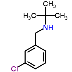 N-(3-Chlorobenzyl)-2-methyl-2-propanamine Structure