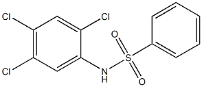 N-(2,4,5-三氯苯)苯磺酰胺结构式