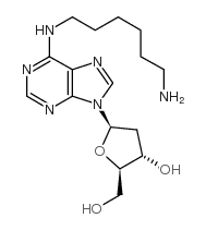 N6-(6-氨基己基)-2’-脱氧腺苷酸结构式