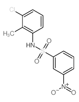 Benzenesulfonamide,N-(3-chloro-2-methylphenyl)-3-nitro-结构式
