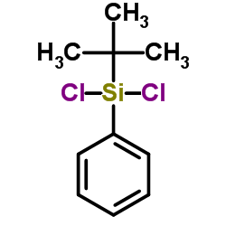 叔丁基苯基二氯硅烷结构式