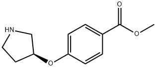 (S)-4-(吡咯烷-3-基氧基)苯甲酸甲酯结构式