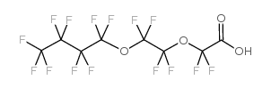 2,2-difluoro-2-[1,1,2,2-tetrafluoro-2-(1,1,2,2,3,3,4,4,4-nonafluorobutoxy)ethoxy]acetic acid Structure