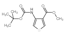 4-((叔丁氧羰基)氨基)噻吩-3-羧酸甲酯结构式