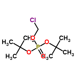 二叔丁基氯甲基磷酸酯图片