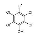 p-hydroxy-2,3,5,6-tetrachlorophenoxyl radical Structure
