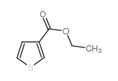 噻吩-3-甲酸乙酯结构式