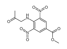 methyl 3,5-dinitro-4-(2-oxopropylamino)benzoate Structure