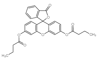 荧光素二丁酸酯结构式