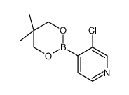 3-Chloro-4-(5,5-dimethyl-1,3,2-dioxaborinan-2-yl)pyridine Structure