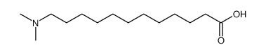 12-dimethylamino-dodecanoic acid Structure