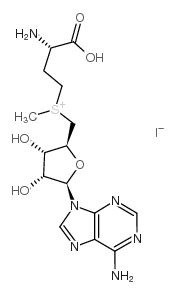 3493-13-8 structure