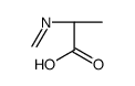 (2S)-2-(methylideneamino)propanoic acid结构式