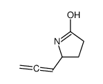 2-Pyrrolidinone,5-(1,2-propadienyl)-(9CI)结构式
