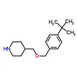 4-({[4-(2-Methyl-2-propanyl)benzyl]oxy}methyl)piperidine Structure
