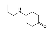 4-(propylamino)cyclohexan-1-one Structure