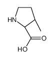 (2R,3R)-3-甲基吡咯烷-2-甲酸结构式