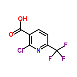 2-Chloro-6-trifluoromethylnicotinic acid picture