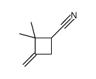 2,2-Dimethyl-3-methylenecyclobutane-1-carbonitrile结构式