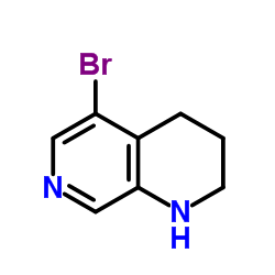 5-溴-1,2,3,4-四氢-1,7-萘啶结构式