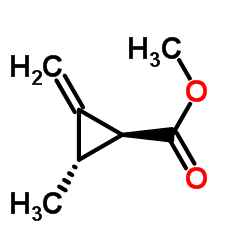 Cyclopropanecarboxylic acid, 2-methyl-3-methylene-, methyl ester, trans- (9CI) Structure