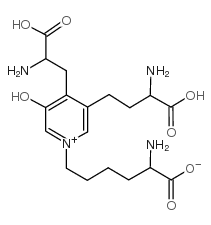 deoxypyridinoline picture