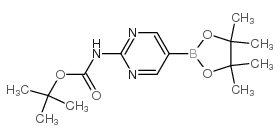 2-(叔丁氧羰基氨基)嘧啶-5-硼酸频哪醇酯图片