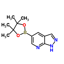 5-(4,4,5,5-四甲基-1,3,2-二氧硼烷)-1H-吡唑并[3,4-b]吡啶结构式