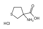 3-氨基-四氢-噻吩-3-羧酸盐酸盐结构式