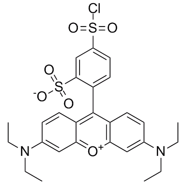lissamine rhodamine b sulfonyl chloride structure